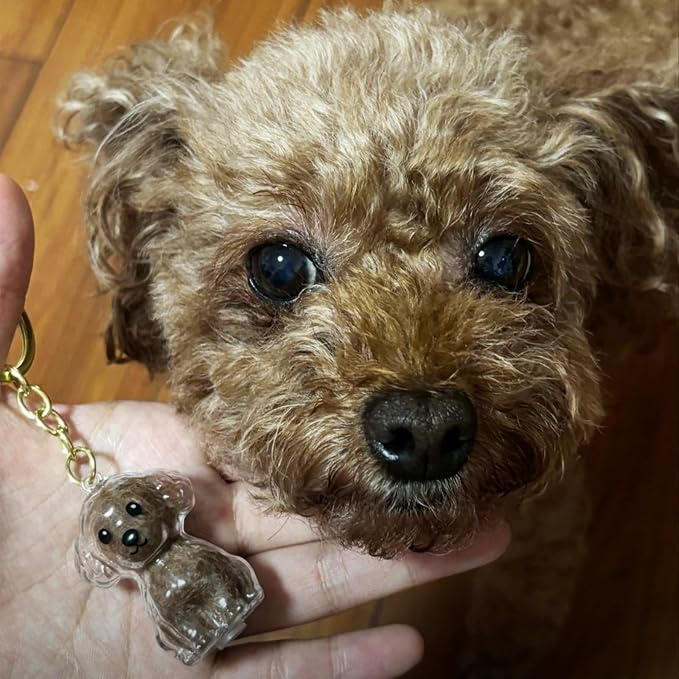 Cute Dog Hair Keychain Transparent Pet Fur Keepsake with Tweezer | Portable Dog Fur Keychain DIY Pet Hair Memorial Keepsake Dogs Hairs Collector Charm Storage Box, Dogs Lover Collecting Gifts