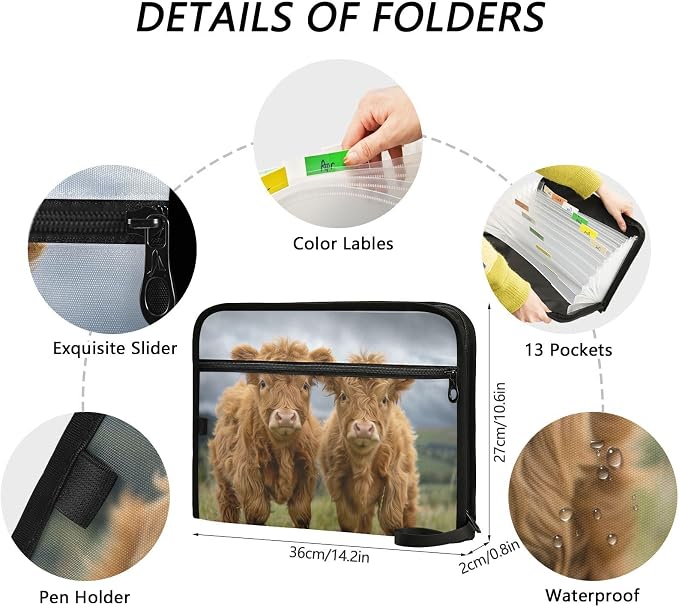 13 Pocket Zipper Expanding File Folder A4 Cattle Highland Cow | Accordion File Organizer with Front Pouch A4 Letter Size Portable Folders for Documents Receipt School Office Supplies
