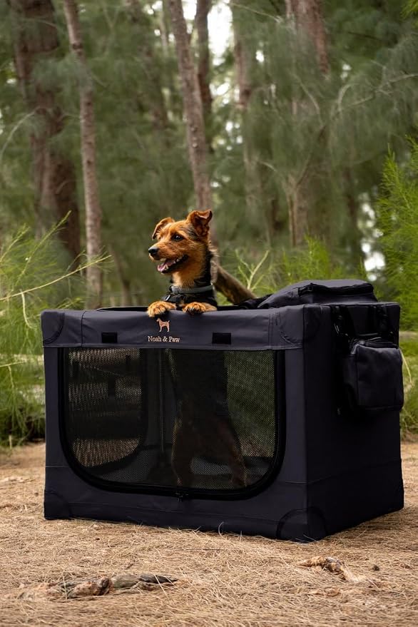 Noah & Paw Collapsible Dog Crate 42 Inch, XXL Dog Crate for XXL, XL, Large Breeds, Travel Kennel for Car, Includes Pet Mat for Pet Cage, 2 Storage Pockets, Handbag, 10mm Locking Zippers 42 * 31 * 31