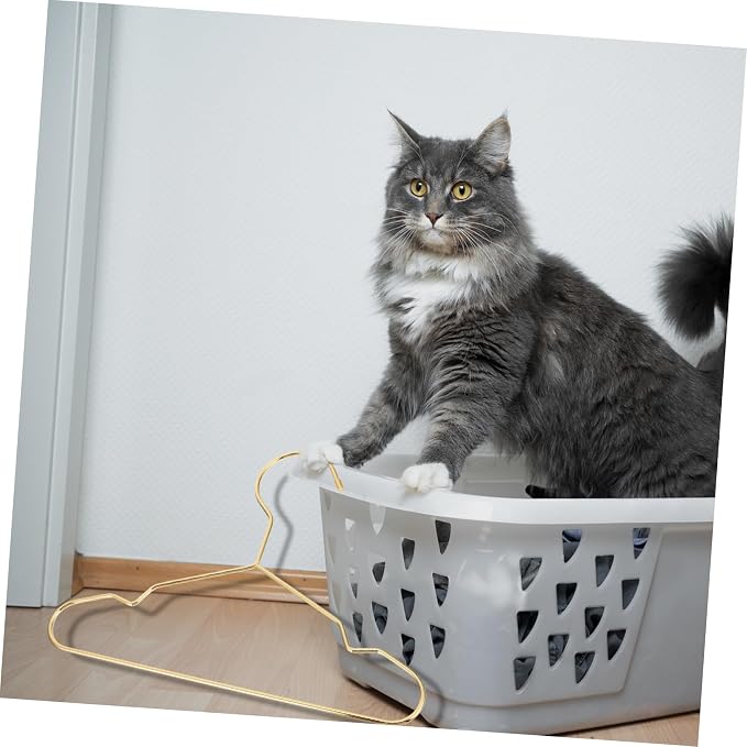 3pcs Dog Clothes Hangers Lightweight Pet Apparel Organizing Racks for Home Shop Use for Dog Clothing Storage and Display