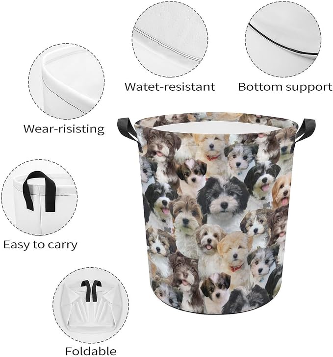 Cute Havanese Dog Print Laundry Basket Foldable With Handles, Funny Havanese Dog Tote Bag, Oxford Cloth Havanese Dog Laundry Hamper Clothes Storage Bucket For Bathroom Laundry Bedroom