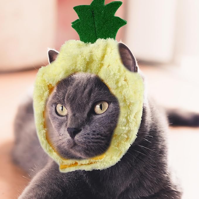 HEMOTON 4pcs Funny Pet Hat for Dogs and Cats, Lovely Fruit-Shaped Cloth Costume with Fine Workmanship, Reducing for Comfortable Wear, for Pet Parties and Dress