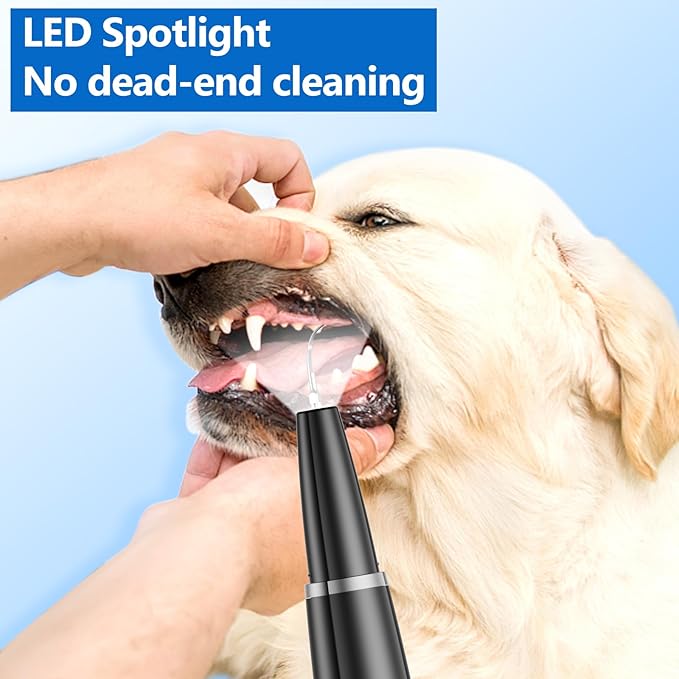 Ni-SHEN Dog Plaque Remover for Teeth,Pet Ultrasonic Tooth Cleaner,Teeth Cleaning Kit -Tartar Remover for Teeth Stains for Dogs and Cats (Black)