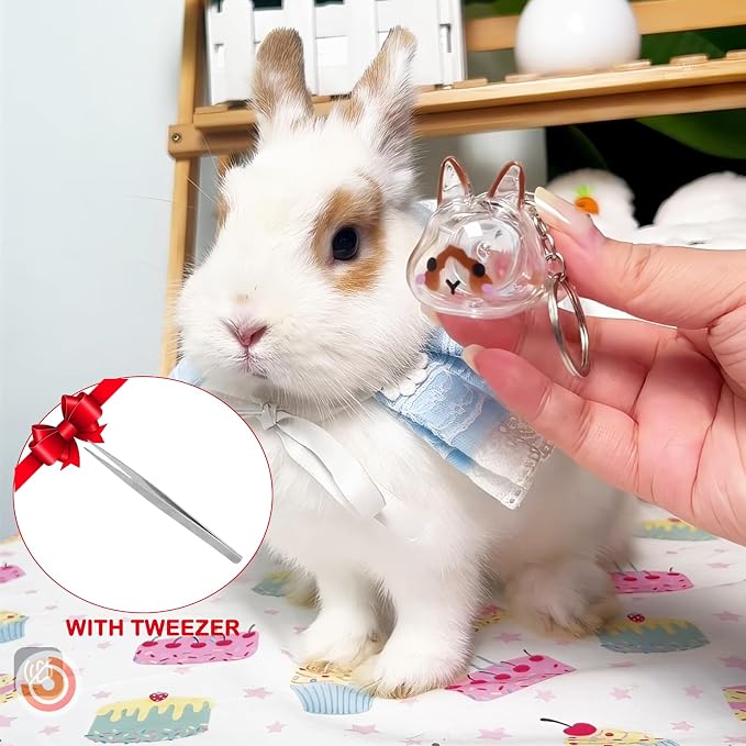 Rabbit Hair Keychain Transparent Pet Fur Keepsake with Tweezer | Portable Rabbit Fur Keychain DIY Pet Hair Memorial Keepsake Bunny Hairs Collector Charm Storage Box, Rabbits Lover Gifts