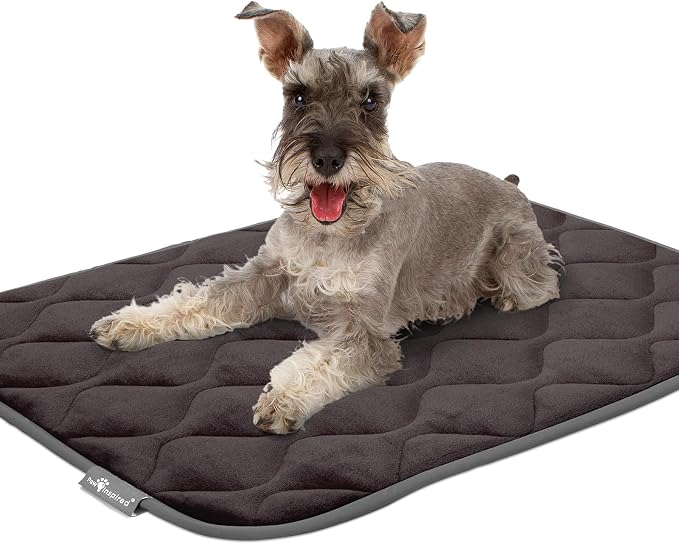 Paw Inspired Washable Padded Crate Mats for Dogs, Gray, 35x22 Inch | Fits 36-inch Kennels, Leakproof, Waterproof Bottom, Plush Dog Pad, Pet Bed