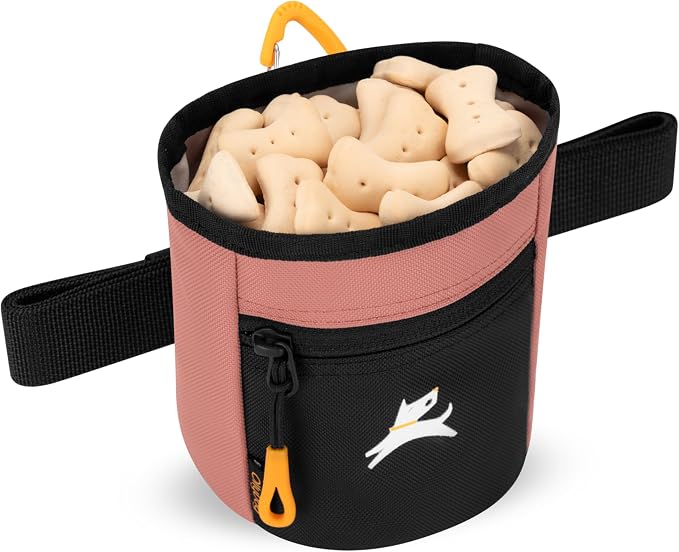 OllyDog, Goodie Treat Bag, Dog Treat Training Pouch | Magnetic Closure | 3 Ways to Wear | Hands-Free Waist Belt | Water-Resistant Recycled Vegan Fabric (Desert)