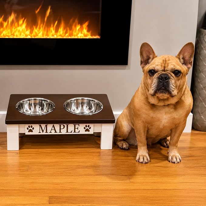 Tilted Dog Bowl - Personalized Custom Elevated Feeder for Short-Nose Dogs | Farmhouse Style, Stainless Steel Dishwasher Safe Bowls, Anti-Slip, Raised Angled, Flat-Face Dogs, Made in USA