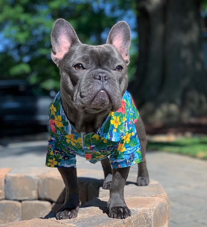 Parisian Pet Floral Dog Shirt - Cotton Clothes for Medium Dogs - Stylish Dog Beach Outfit - Lightweight and Soft Puppy Clothes - Trendy Tshirts for Dogs - Comfortable Summer Vacation Pet Apparel