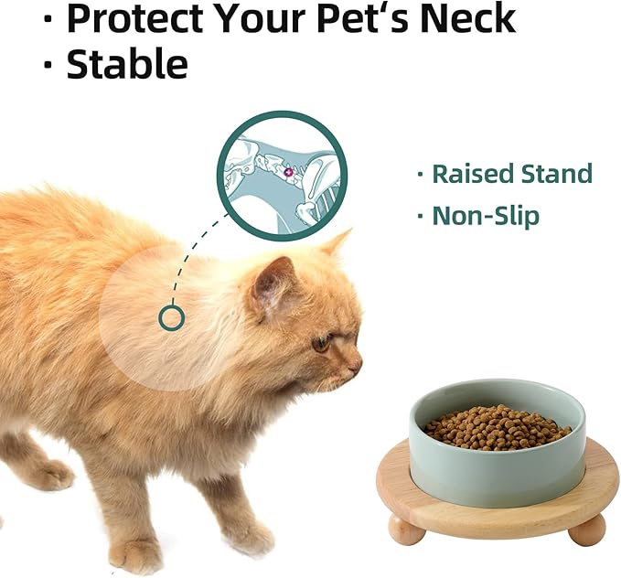 Havniva Ceramic Elevated Cat Food and Water Bowl, Kitty Bowl, Raised Cat Dish, Pet Feeder (5.1 in,1 x Light Green + Stand)