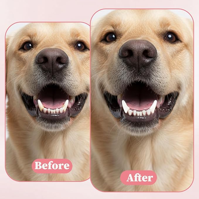 Cat Tooth Brush, 2PCS Small Dog Toothbrush Puppy Pet Toothbrush Cat Tooth Brush Dog Finger Toothbrushes Small Breed Soft Mini 13°Curved Head Teeth Brushes for Puppy Kitten Dogs, Pink