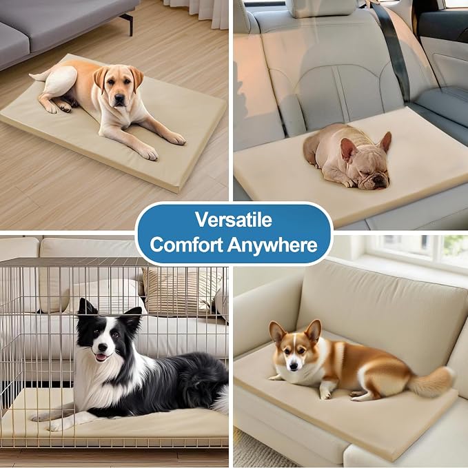 Dog Mat,23"x 36"Dogs Crate Pad,Indoor Non-Slip & Waterproof Dog Mat,Easy Wipe Clean in Seconds，Sleeping for Floor,Car,Sofa,Crate