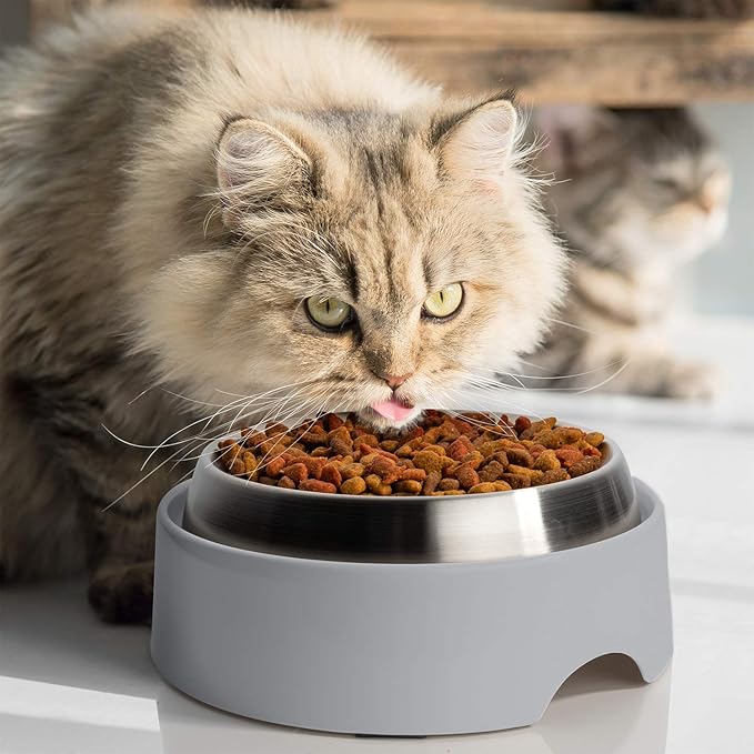 CatGuru Food Table for Cat Bowls, Elevated Feeding Station for Cat Food Bowl, Raised Stand for Pet Food and Water Bowls, Pet Feeder for Indoor Cats, Stress Free Stand for Pet Dishes or Plates (Grey)