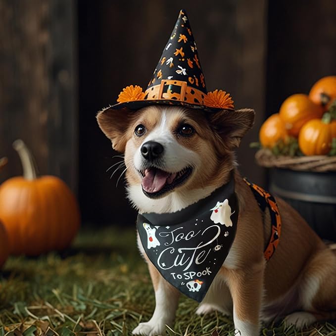 Halloween Dog Bandana, Too Cute to Spook Sign for Small Medium Pet
