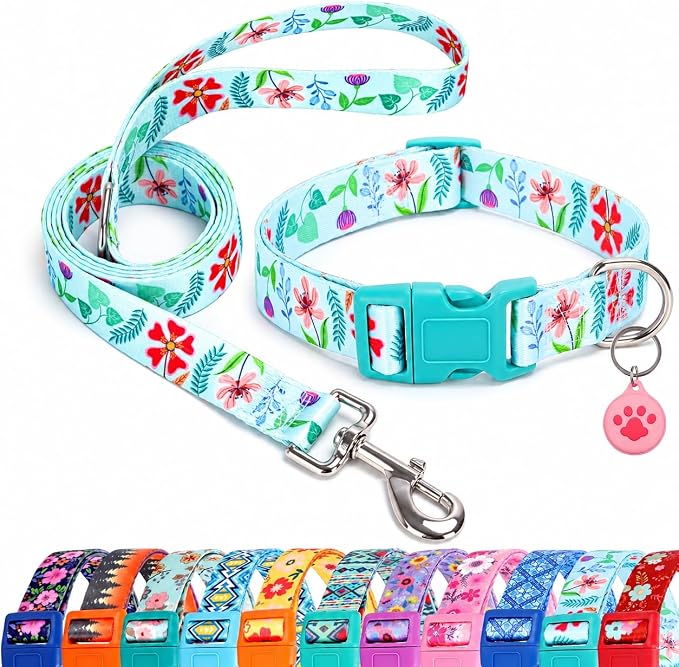 Floral Matching Dog Collar and Leash Set with AirTag Holder-Verdure Daisy/S | Anti-Lost,Adjustable Durable Pet Collar Leash Combo for Small Boy Girl Dogs,for Outdoor Walking Hiking Training Running