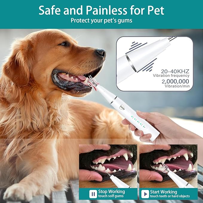 Plaque Remover for Teeth, Pet Ultrasonic Cleaner, Dog Plaque and Tartar Remover with LED Light, Dog Teeth Cleaning Dental Care Kit for Tartar and Stains, Suitable for Dogs and Cats (White)