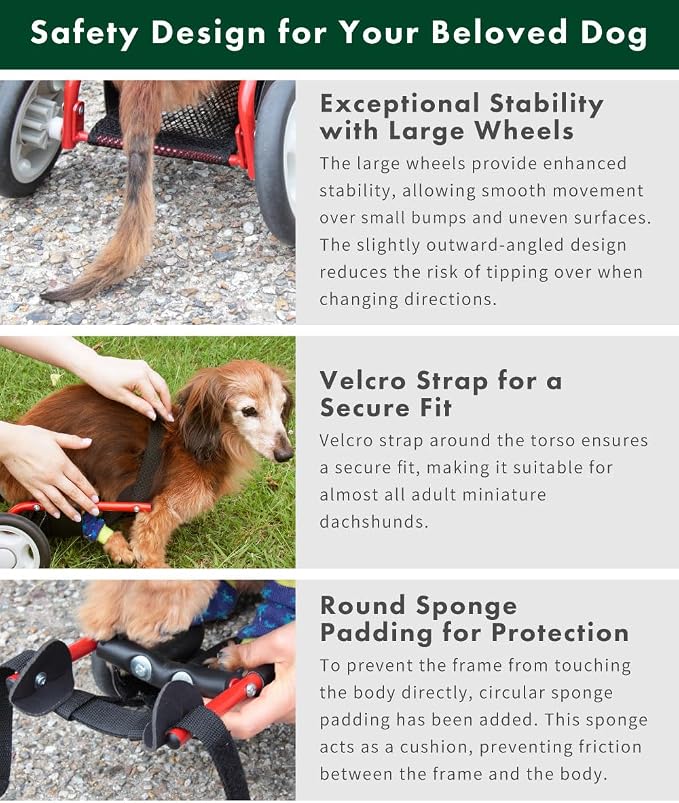 PaletteLife Miniature Dachshund Wheelchair for Back Legs, Adjustable Dog Cart with Wheels, Lightweight Mobility Support, Rear Leg Assistance for Small Dogs