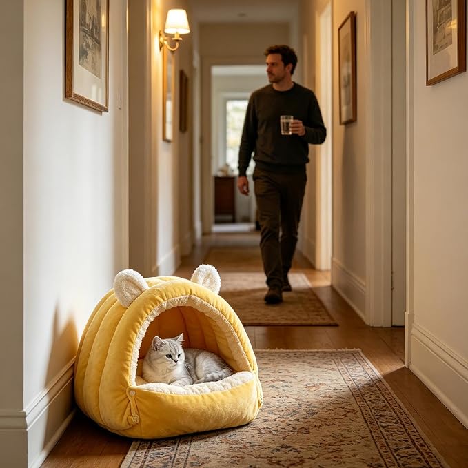 Cat Bed Cave Covered Washable Dome House with Zipper | Enclosed Dog Bed for Kittens Puppies Pets Indoor Winter Home Living Room Bedroom Kitchen Sofa Dorm Travel