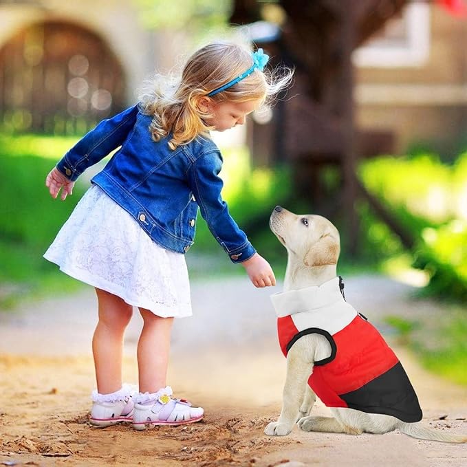 Idepet Pet Dog Cat Coat with Leash Anchor Color Patchwork Padded Puppy Vest Jacket Teddy Chihuahua Costumes Pug Cloth XS S M L(XX-Large,Black)