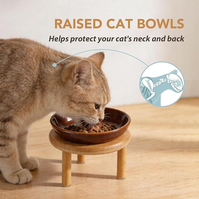 Havniva Elevated Cat Bowls, Ceramic Cat Bowl with Bamboo Stand Wide Opening | 5.7” Raised Cat Food Bowls, Whisker Friendly Cat Dish, Anti-Slip Cat Water Bowls, Shallow Cat Bowls, Cat Food & Water Bowl