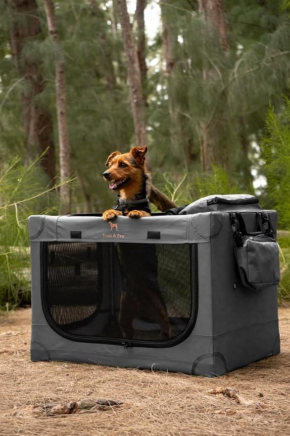 Noah & Paw Collapsible Dog Crate 36 Inches, XL Dog Crate for XL, Large Medium Breed, Travel Kennel for Car, Includes Pet Mat for Pet Cage, 2 Storage Pockets, Handbag, 10mm Locking Zippers 36*25*23