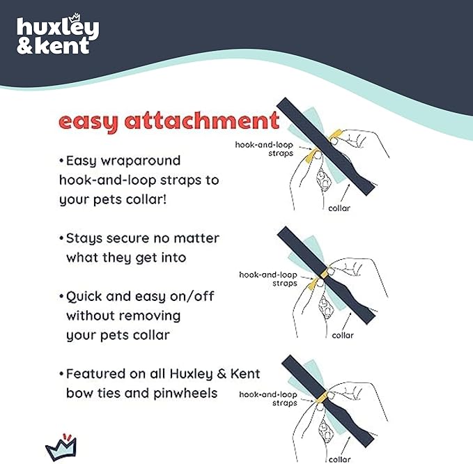 Huxley & Kent Pet Bow Tie for Dogs & Cats, Equality, Large/XLarge | Hook & Loop Attaches to Any Collar, Soft Polyester, Lightweight & Machine Washable, Perfect for Holidays & Photos