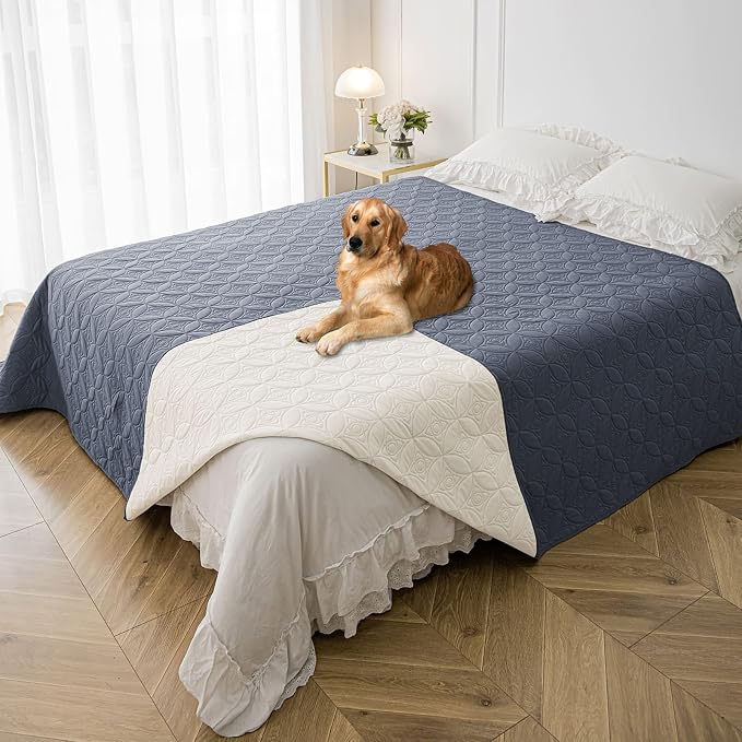 Waterproof Couch Cover for Dogs - Washable Pets Furniture Protector | TPU Leak-Proof Liner, Lightweight & Reversible, Fits Chair, Sofa, Bed, 82" x 102" , Blue/Cream