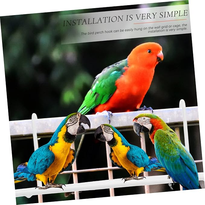 Mipcase 2pcs Wall Frame Bird Stand for Parrots Perch for Multiple Birds Display Shelf for Plants Impact-Resistant Design and Accessories