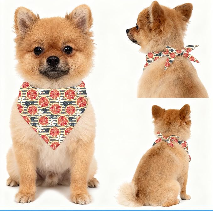 Citrus Slice Dog Bandana for Small Medium Dogs, Fresh Orange Fruit Pet Triangle Scarf, Cute Puppy Accessory for Daily Walks Picnic Birthday Photos