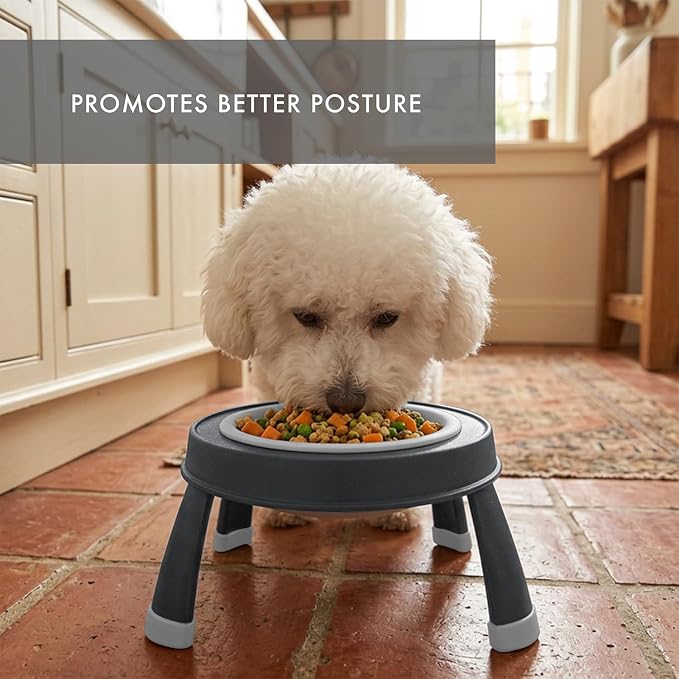 Dexas Pets Elevated Pet Feeder, Small, 1.5 Cup Capacity, Light Gray, Raised Pet Food and Water Bowl
