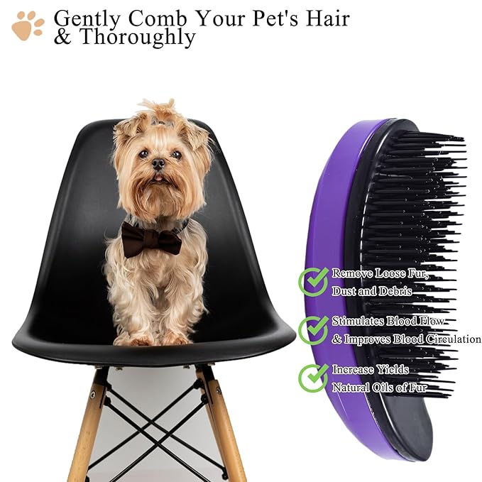 Small Dog Brush, Soft Pet Grooming Brush for Shih Tzus, Yorkies, Maltipoos, Maltese, Puppy Massaging Hair Brush, Cat Brush, for Small Animals Rabbits of All Hair Types (Purple)