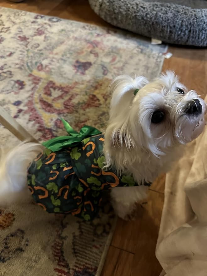 St. Patrick's Day Dog Costume Dress M – Lucky Clover and Horseshoe Design with Green Bow, Pet Outfit for 8-9 lbs Dogs and Cats, Holiday Party Clothes