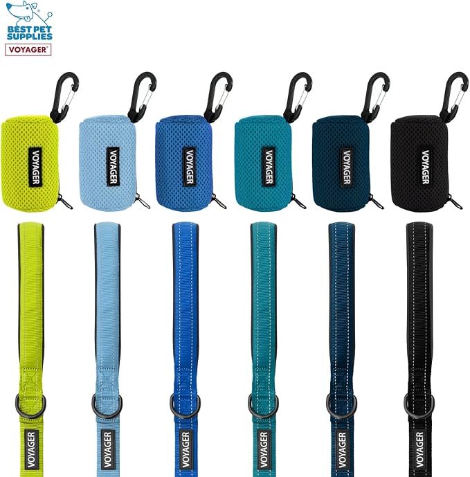 Best Pet Supplies Dog Poop Bag Holder Leash Attachment with Reusable Dispenser for Travel, Walking, Park, and Outdoor Use, Durable with Clip-On - Red, Pack of 2, Mesh Dispenser w/30 Bags