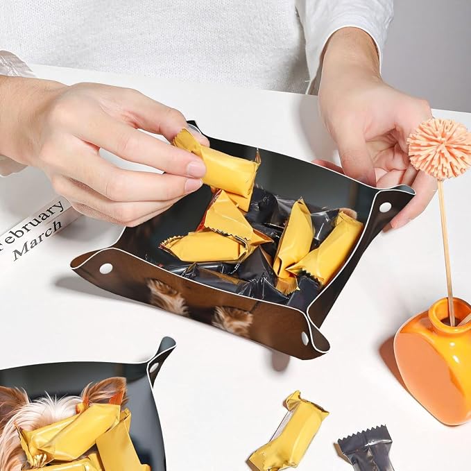 LeatherJewelry Valet Tray for Women Men, Portable Travel Catchall Tray Organizer Dish Plate Cute Pet Yorkie Bedside Vanity Tray Nightstand Caddy Holder for Wallet, Key, Coin
