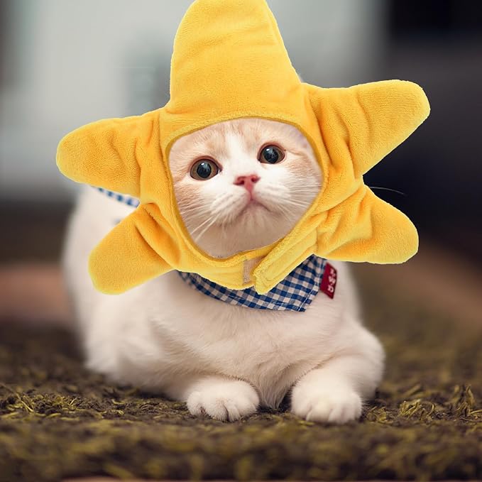 Creative Birthday Hat and Pet, Plush Dogs Creature for Comfortable Costume Hat, Yellow Dress up Accessory for Christmas Party Events