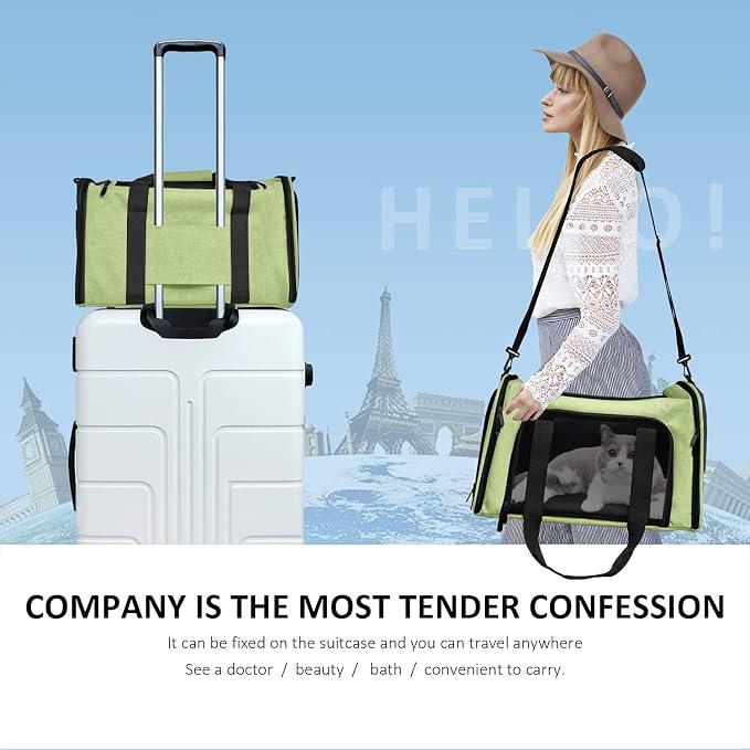 Henkelion Pet Carrier for Small Medium Cats Dogs Puppies up to 15 Lbs, Airline Approved Small Dog Carrier Soft Sided, Collapsible Travel Puppy Carrier - Green (Pack of 2)