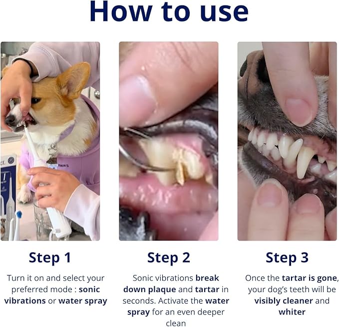 Canivet Silent Sonic Plaque & Tartar Remover for Dogs – Ultra-Quiet Dental Cleaner with Scaler, Toothbrush Heads, Water Flosser Rechargeable, Small & Large Dog Friendly
