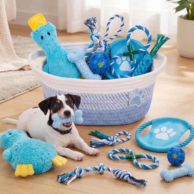 Zopeal Dog Toy Gift Basket Set for Puppy Birthday, Blue
