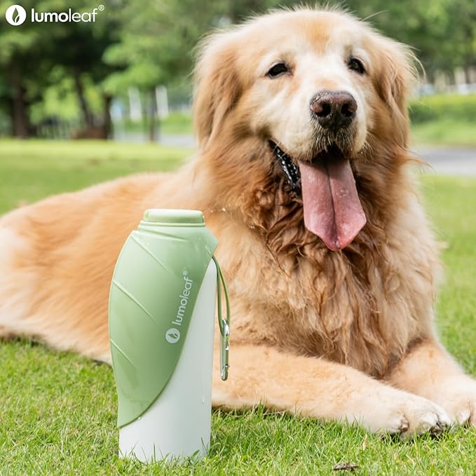 LumoLeaf Insulated Dog Water Bottle 27 oz Stainless Steel - Keep Water Cool or Warm, Portable Pet Water Bowl for Travel, Wide Mouth for Easy Ice Filling & Cleaning (Green, 27 oz)