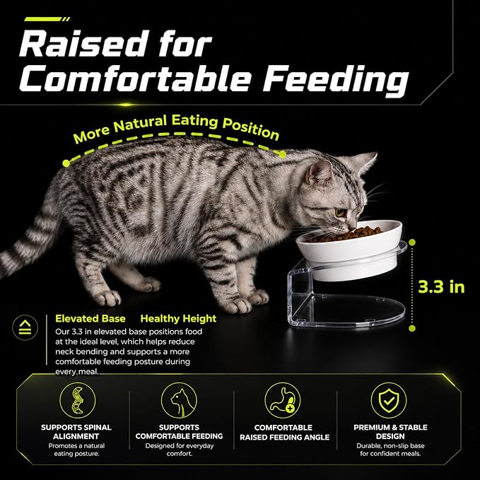 Raised Cat Bowl, 15° Tilted, 4.5 in High, White | 15° tilted shallow melamine bowl on a 4.5 in raised stand supports comfortable feeding and reduces whisker contact.