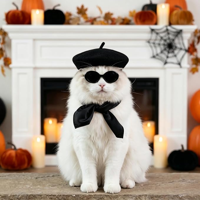 Dog Beret Set Including Dog Beret Satin Scarf Funny Glasses Pet French Artist Beanie for Small Dogs Cats Halloween Christmas Cosplay Party (Black)