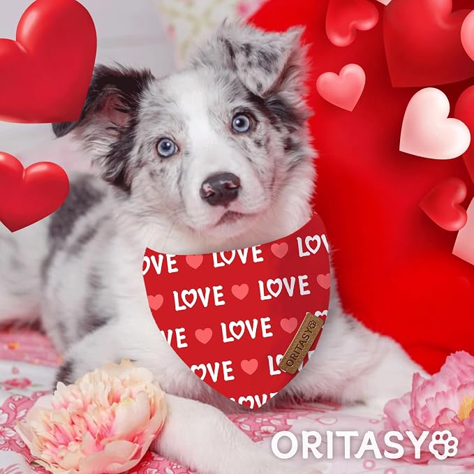 Valentines Day Dog Bandanas, 2-Pack Triangle Reversible Love Pet Scarves, Premium Fabric Bandana (Large, Style 1)