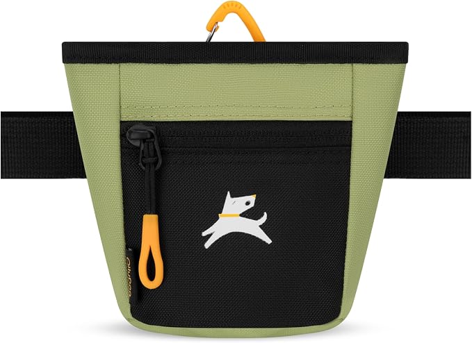 OllyDog, Goodie Treat Bag, Dog Treat Training Pouch | Magnetic Closure | 3 Ways to Wear | Hands-Free Waist Belt | Water-Resistant Recycled Vegan Fabric (Palm)
