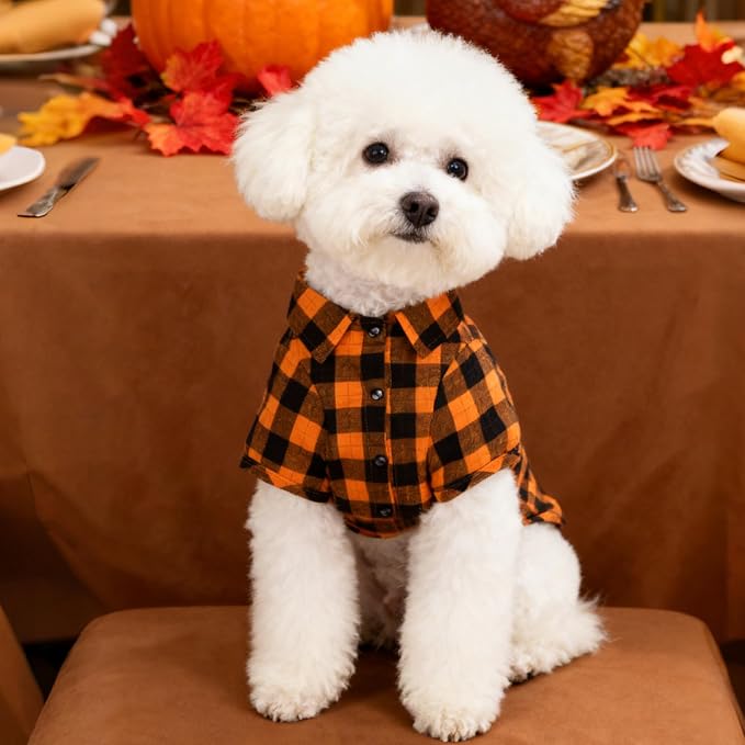 PUPTECK Classic Plaid Dog Shirt, Puppy Polo T-Shirt Clothes, Orange M | Soft Cotton Button Up Dog Clothes for Small Medium Dogs Boy Girl, Fashion Pet Tee, Chic Casual Pet Outfit Apparel