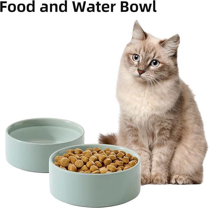 Havniva Ceramic Set of 2 Cat Bowls, Food and Water Bowls for Cats, Kitty, 2pcs Cat Dishes, Pet Feeder(5.1inch, 2 x Light Green Bowls)