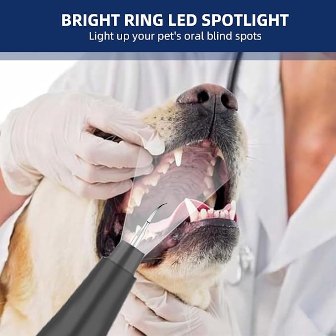 Plaque Remover for Teeth, Pet Ultrasonic Cleaner, Dog Plaque and Tartar Remover with LED Light, Dog Teeth Cleaning Dental Care Kit for Tartar and Stains, Suitable for Dogs and Cats (Black)