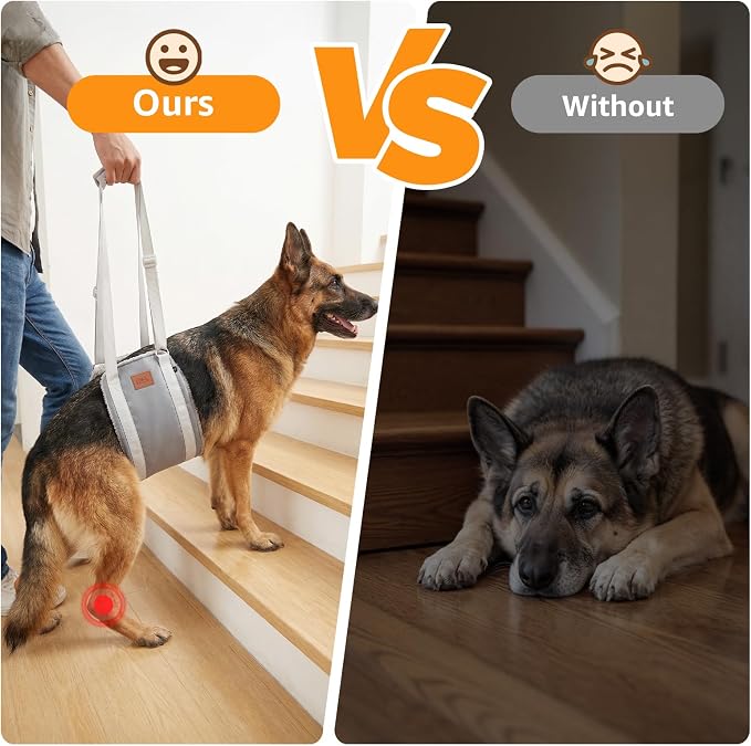 Adjustable Dog Sling for Extra Large Dogs Mobility Aid for Weak Rear Legs | Sturdy Support, Helps Seniors, Injured, Disabled and After ACL Surgery Dogs, Saves Your Back, Soft Padding, Daily Walk/Stairs