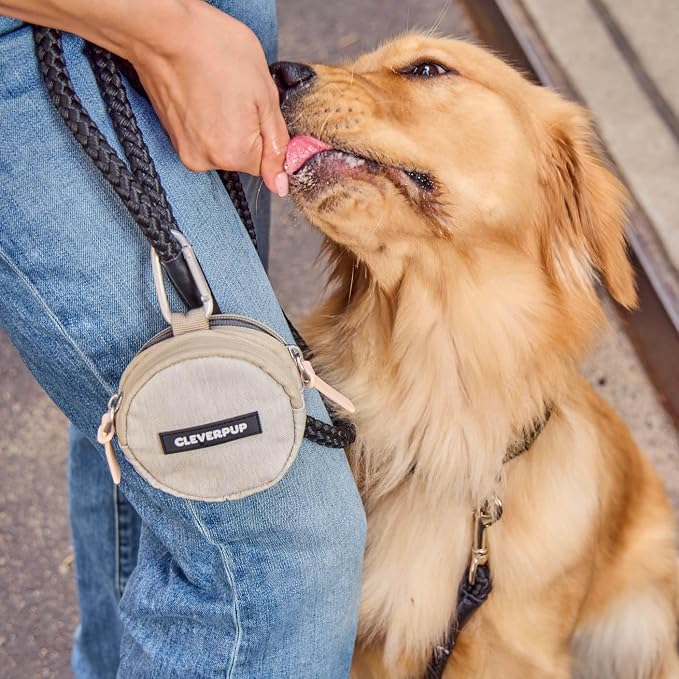 Cleverpup Snackpack Double Insulated Dog Treat Pouch – 1.5 Cup Capacity, 2 BPA-Free Waterproof Zipper Pockets, Carabiner for Belt/Leash – Compact Training & Travel Bag – Sand