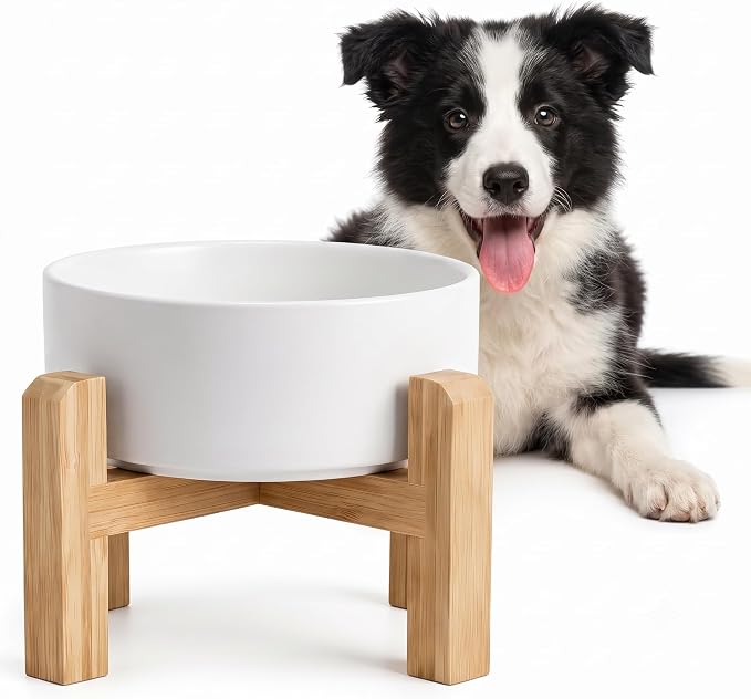 hjn Elevated Ceramic Dog Bowl with Bamboo Stand, Raised Pet Feeding Station for Small Medium Dogs Cats, Modern Design with Anti-Slip Base (White, 3.6Cup)
