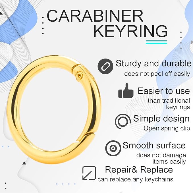 10 Pack 1 Inch Gold Carabiner Clips, Metal Spring O Rings Round Carabiner Keychain Clips for Replacement Purse Ring Hardware, Keyrings, Paracord Keychain Lanyard, Home Car Keyrings Attachment
