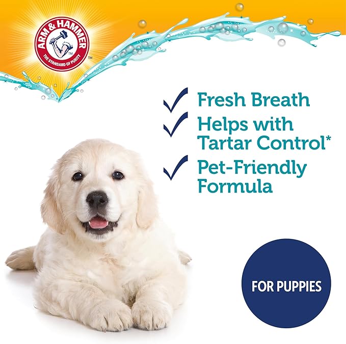 Arm & Hammer Complete Care Enzymatic Puppy Toothpaste, Peanut Butter Flavor, Enzymatic Dog Toothpaste for Puppies, Baking Soda + Calcium Formula, 6.2oz